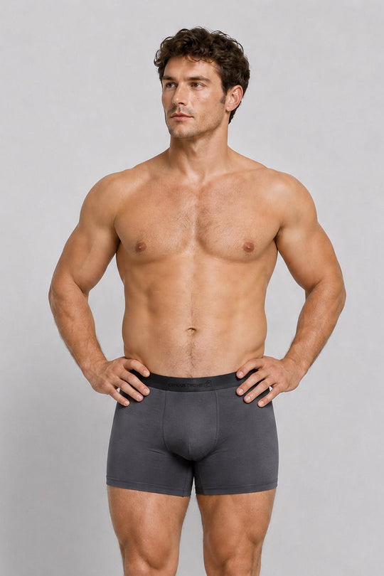 Men's Soft Modal Boxer Briefs - Storm Gray